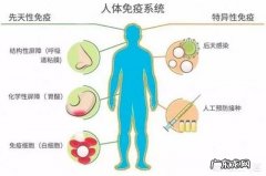 健身后免疫力低、总生病的人该怎么办