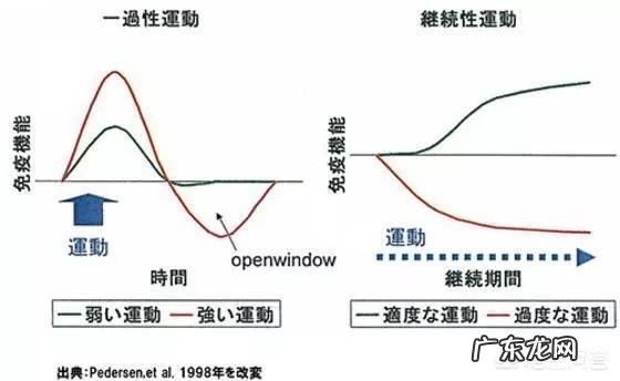 健身后免疫力低、总生病的人该怎么办