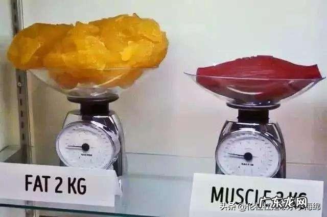 我身高170体重120斤怎样不运动,怎么样才能瘦到100斤?