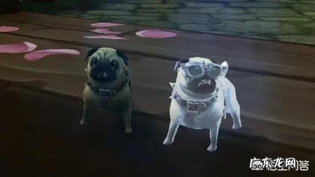 衣服的尺码,M,L,XL,哪个代表最大,哪个代表最小?