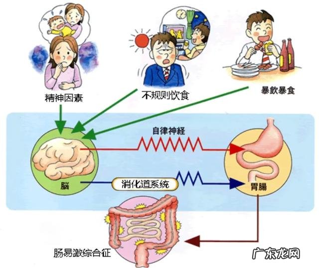肠胃功能紊乱大便会变细吗？