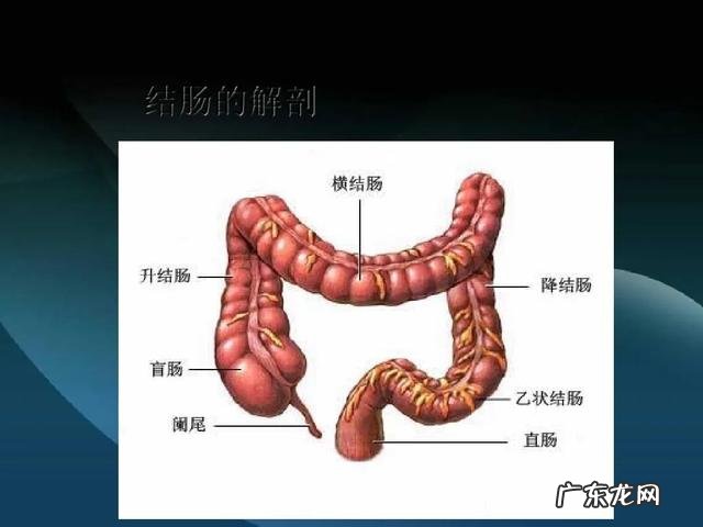 肠胃功能紊乱大便会变细吗？