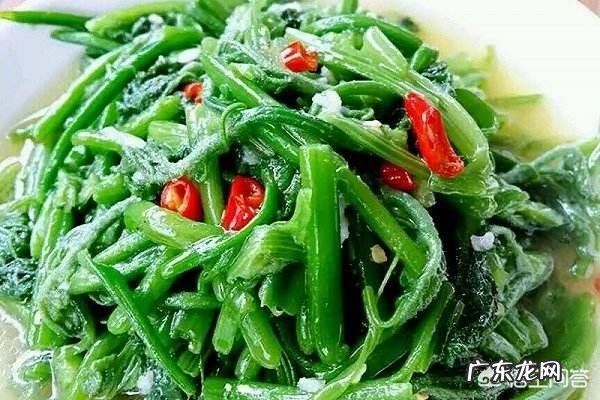 女人常吃南瓜藤,坚持一个月对身体有哪些好处?