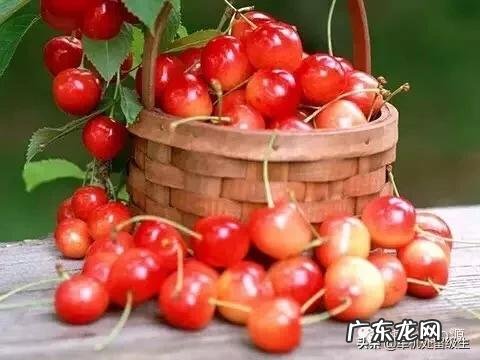 吃樱桃有哪些好处?血糖会升高吗?