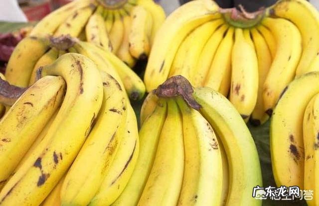 什么样的人不适合吃香蕉?