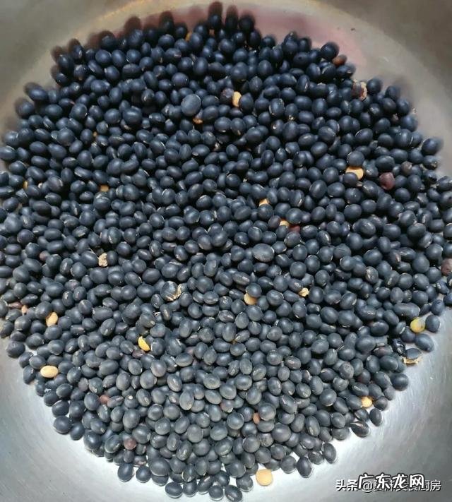 黑豆怎么做才好吃又简单 黑豆怎么做才营养又美味?
