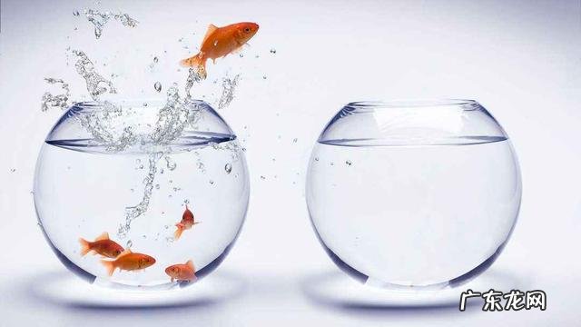 甲亢病人一天吃三餐稀饭，有营养吗，不会胖吧？