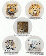 豹子和狮子能杂交吗？后代会是怎样的动物？