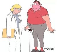 体脂管理师一般要学习哪些课程，没有基础可以学吗