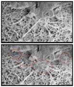 22岁想买一套抗衰老的护肤品，有什么好的护肤品推荐？