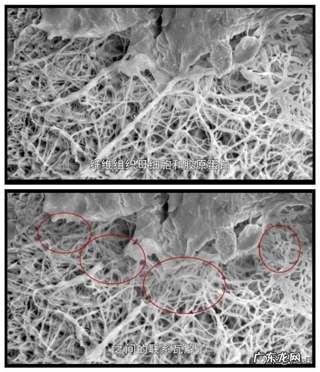 22岁想买一套抗衰老的护肤品,有什么好的护肤品推荐?