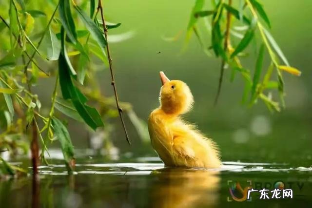 从客观角度，你支持胶片摄影复兴潮流吗？