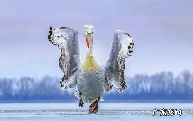 从客观角度，你支持胶片摄影复兴潮流吗？