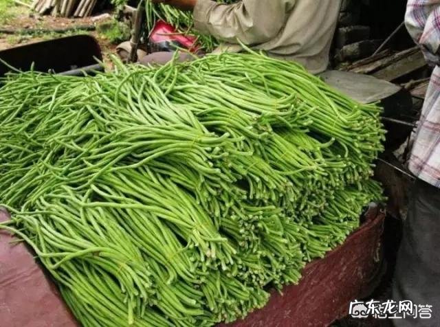 白豆,黑豆,绿豆,淡豆豉的功效?