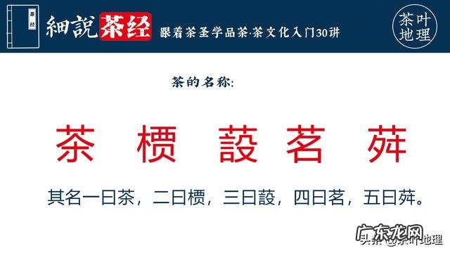 哪里才是“荔枝之乡”？历史最悠久的荔枝树在哪里？