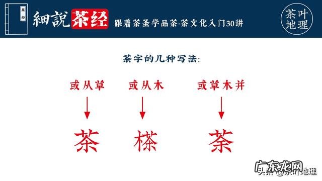 哪里才是“荔枝之乡”？历史最悠久的荔枝树在哪里？