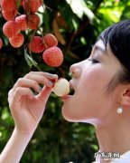 哪里才是“荔枝之乡”？历史最悠久的荔枝树在哪里？