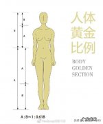为什么有的人身材比例那么好呢