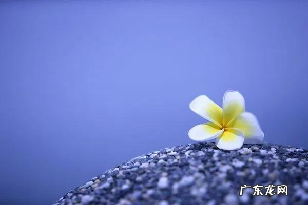 为什么有的人身材比例那么好呢