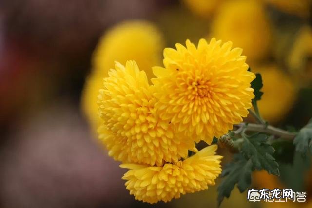 如何能做到科学脱离恐艾症呢？