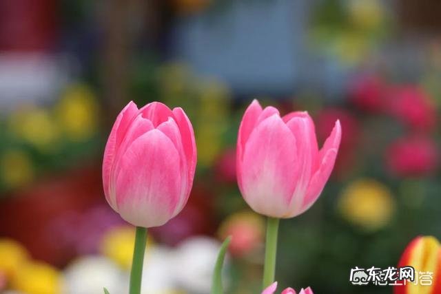 如何能做到科学脱离恐艾症呢？