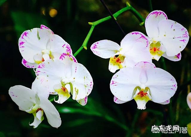 如何能做到科学脱离恐艾症呢？