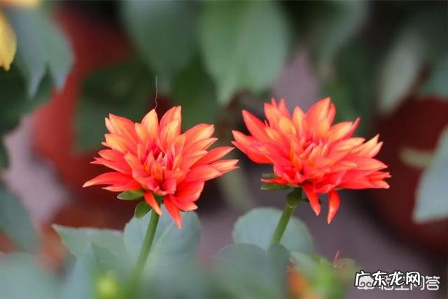 如何能做到科学脱离恐艾症呢？