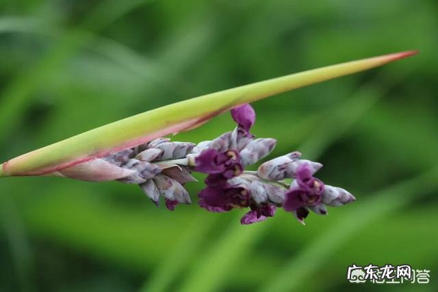 如何能做到科学脱离恐艾症呢？