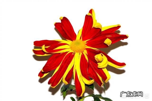 如何能做到科学脱离恐艾症呢？