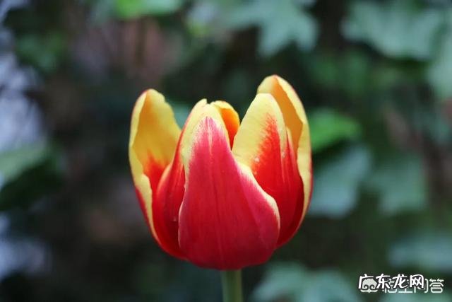 如何能做到科学脱离恐艾症呢？