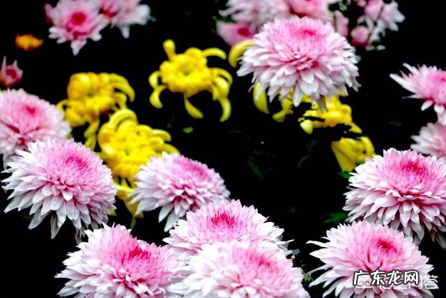 如何能做到科学脱离恐艾症呢？