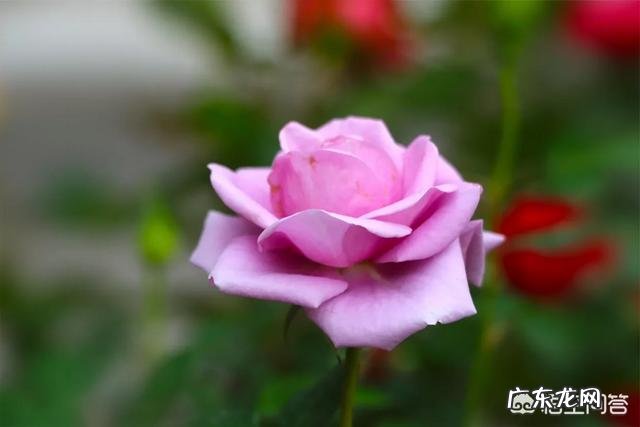 如何能做到科学脱离恐艾症呢？