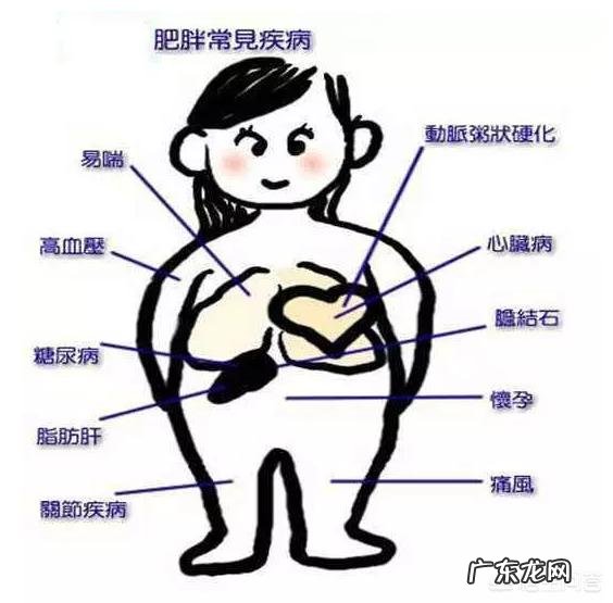 肥胖真的会很不健康吗?究竟会有多可怕?