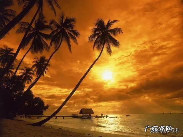 原来抖音的美女都是这么来的 抖音上为什么那么多美女,这些美女都是真的吗,还是用了道具?