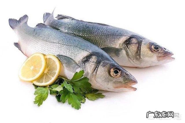 炖鱼汤怎么炖得烂 炖鱼汤如何炖出来比较浓？