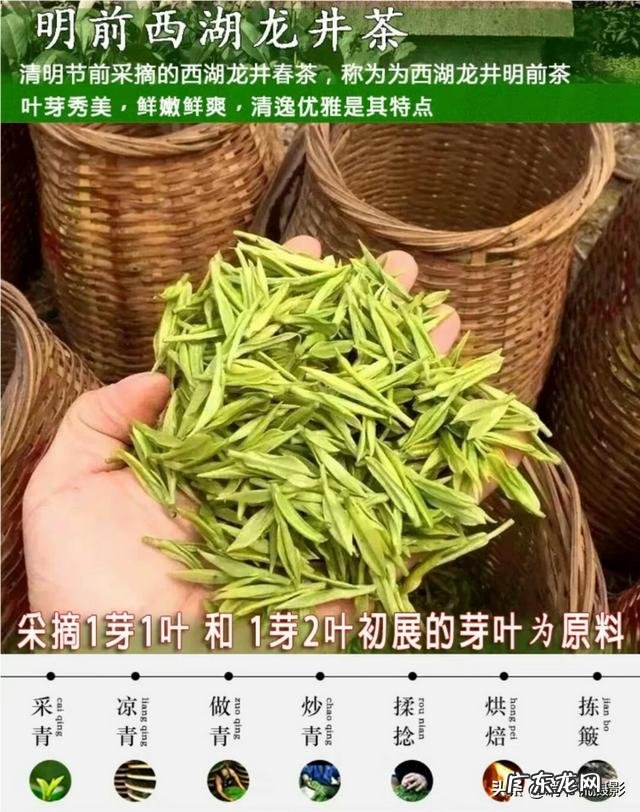 如果想在夏天减肥,适合喝哪种茶叶?