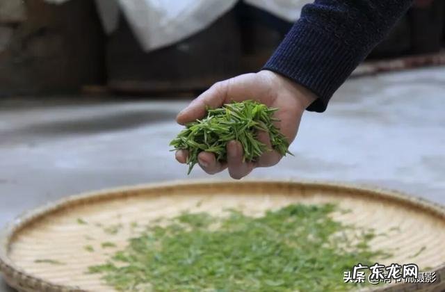 如果想在夏天减肥,适合喝哪种茶叶?