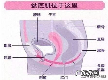 突然得了盆底肌功能障碍怎么办?有没有什么方法能得到改善的?
