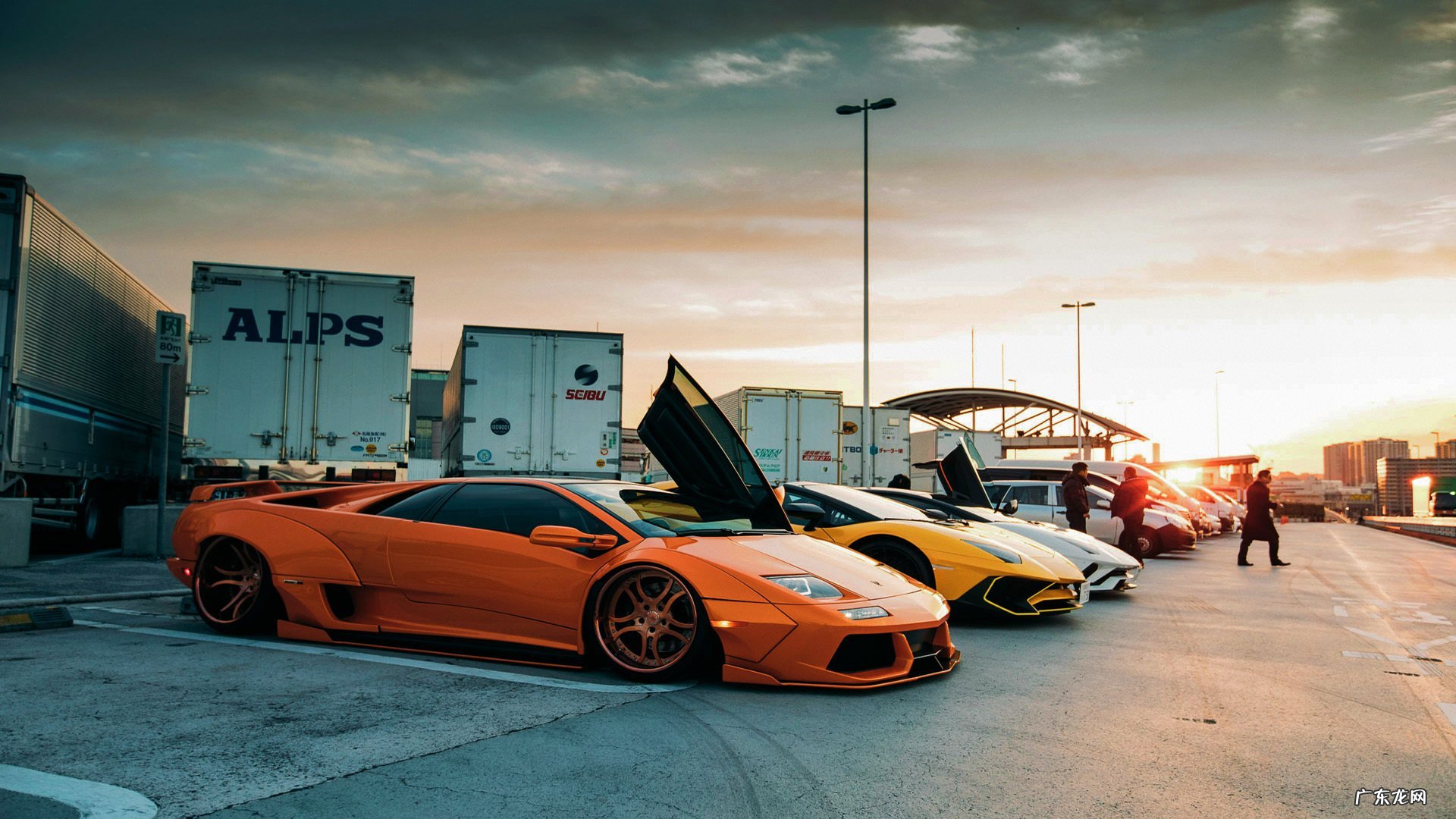 上班族吃什么可以减肥呢?