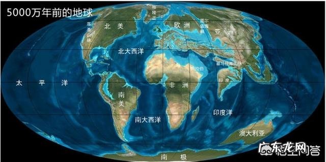 当鲸鱼还没进化,在陆地的时候是什么样子