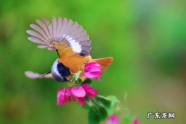 身材不好,在男朋友面前很自卑,不敢脱衣服,怎么办?