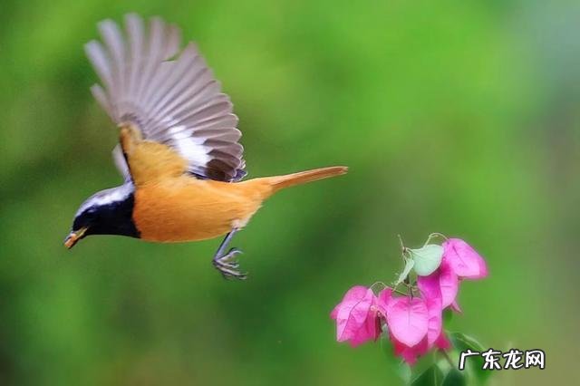 身材不好,在男朋友面前很自卑,不敢脱衣服,怎么办?