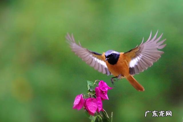 身材不好,在男朋友面前很自卑,不敢脱衣服,怎么办?