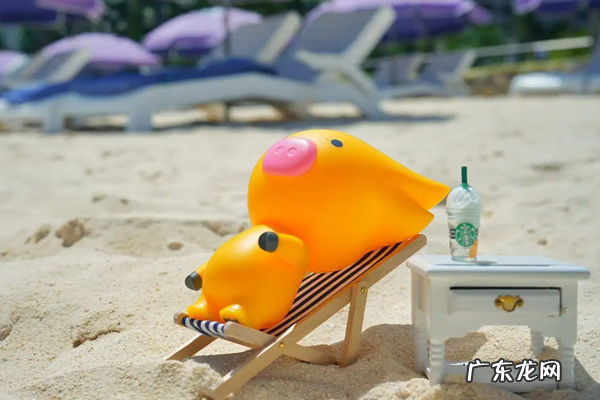 2022年飞猪618服务要求是什么?发货有无调整?