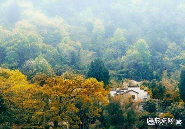 你家有那种特别不讲究的公婆吗？