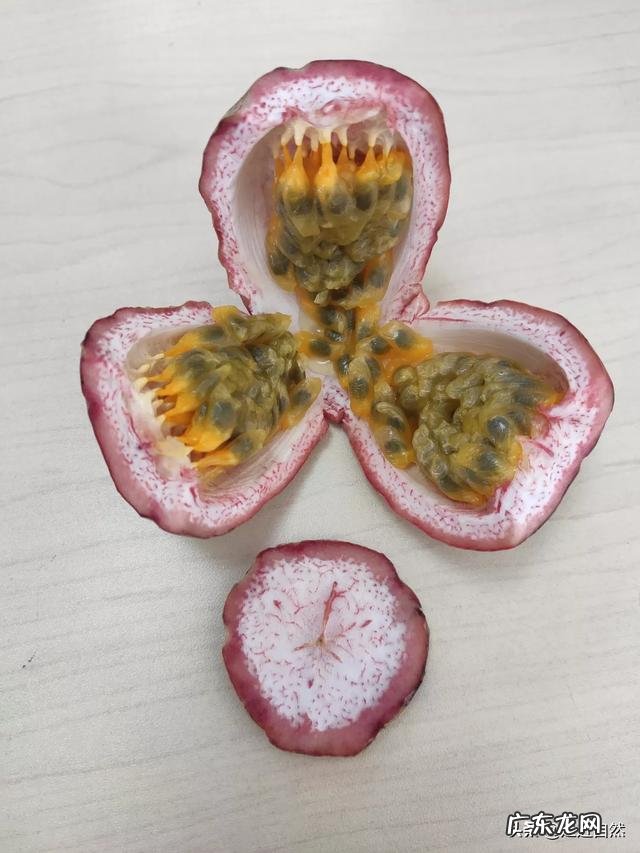 百香果是种怎样的植物？如何培育？