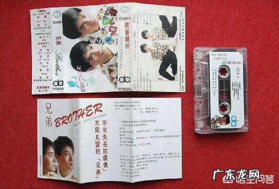 20多年前的孪生兄弟歌手楚奇楚童现状如何？