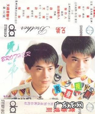 20多年前的孪生兄弟歌手楚奇楚童现状如何？