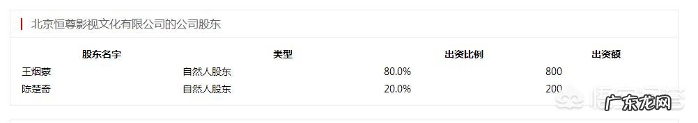 20多年前的孪生兄弟歌手楚奇楚童现状如何？