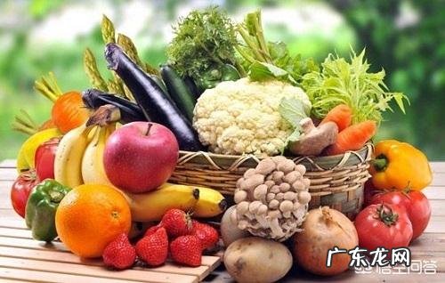 美短虎斑猫与英国蓝猫相比结合它们的习性哪个更好饲养